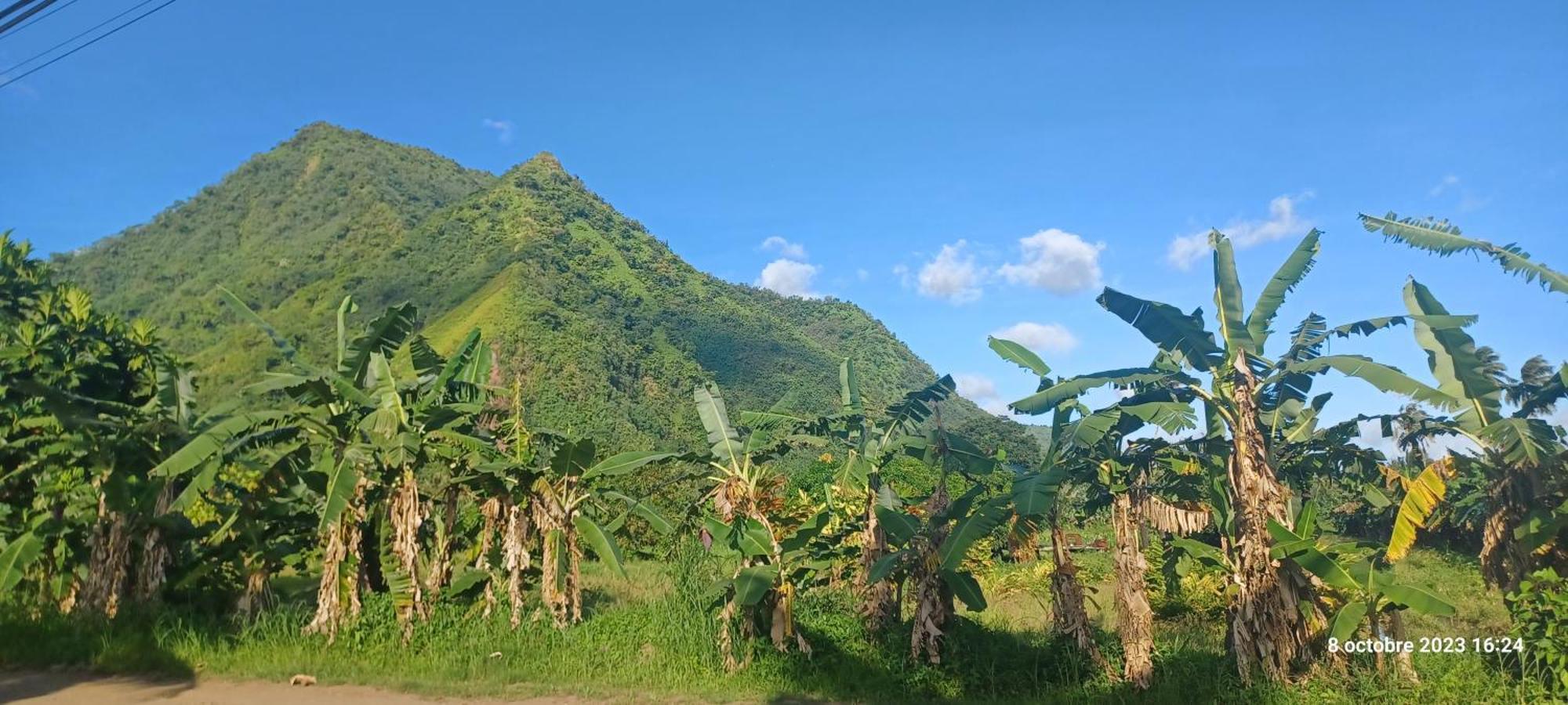Hava'E Lodge Teahupoo Екстериор снимка