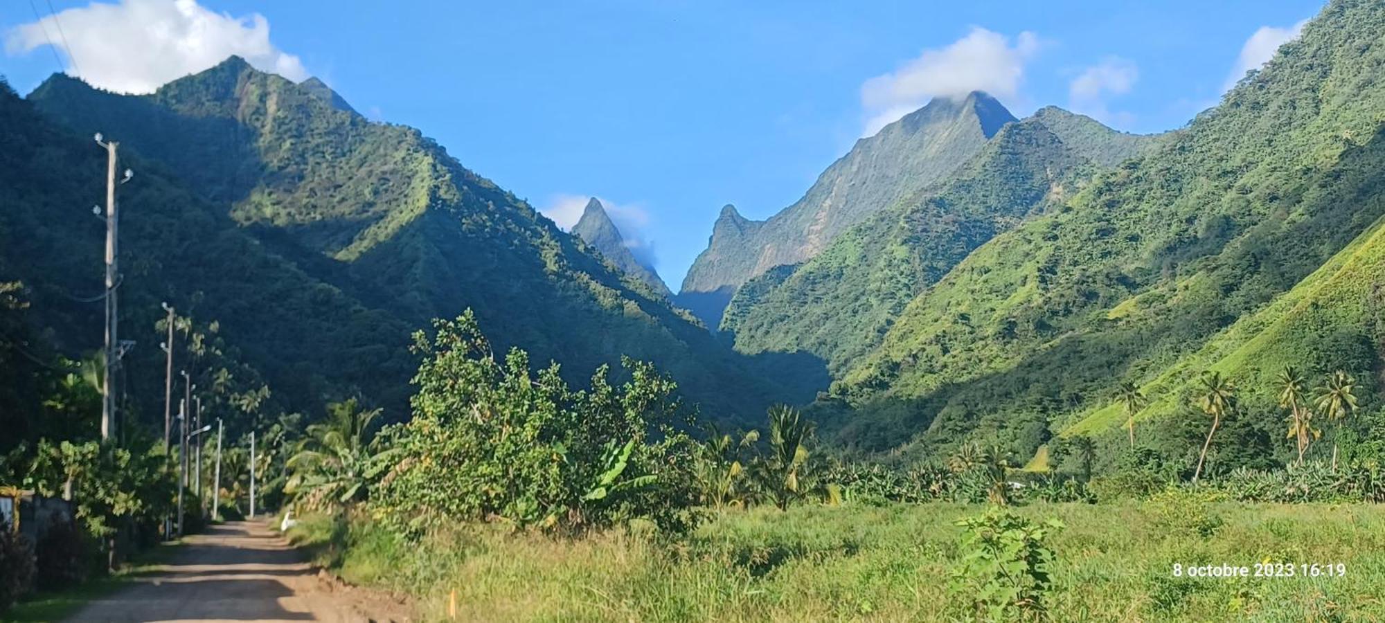 Hava'E Lodge Teahupoo Екстериор снимка